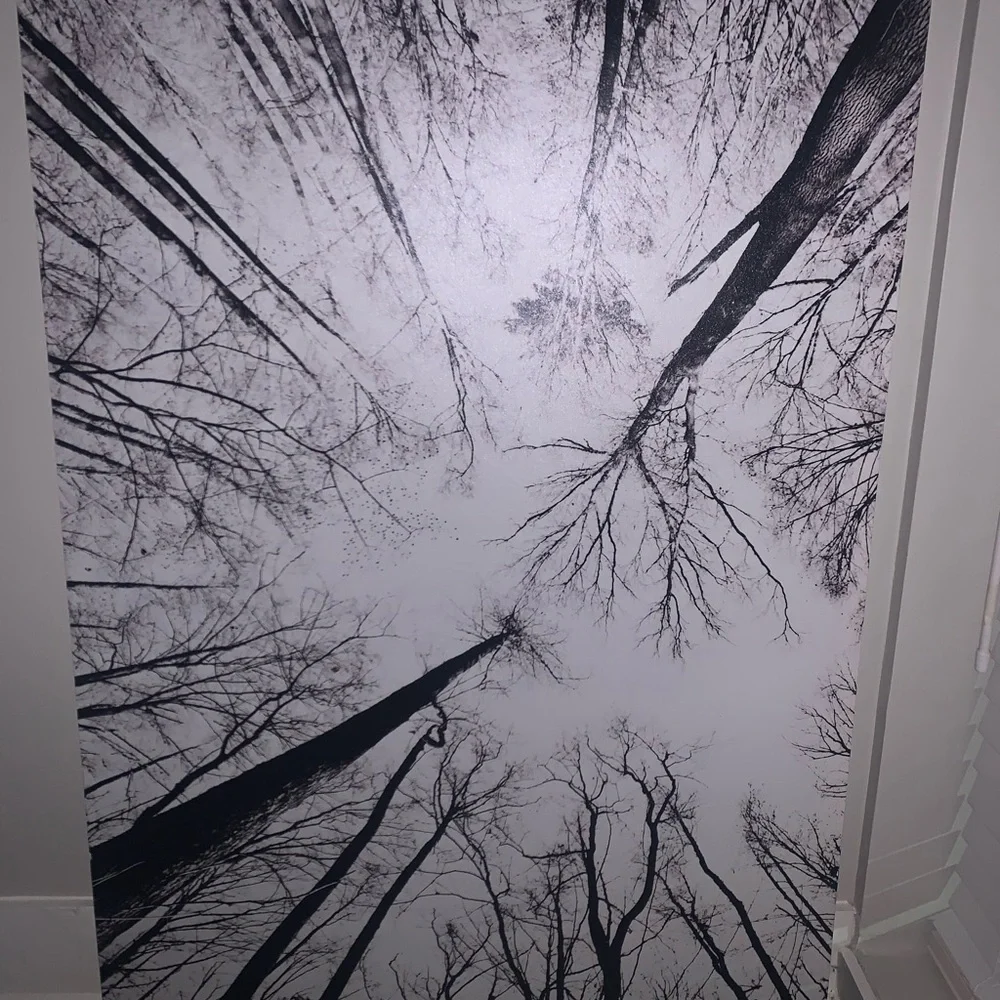 EARTHBOUND Monochrome Canopy Mural in Black & White